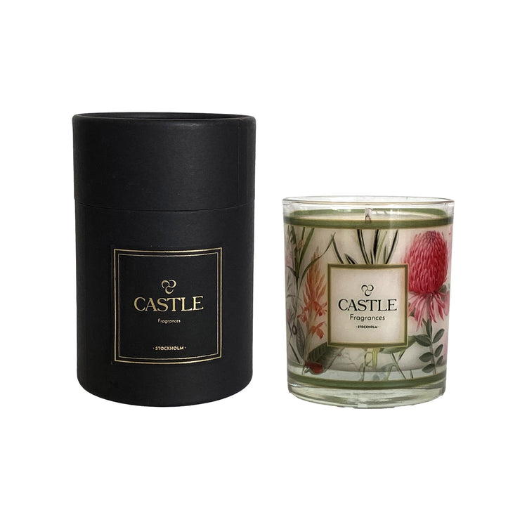 CANDLE SOLARIS